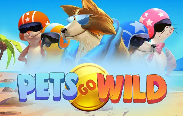 Zbahis pets go wild slotuyla eğlenceyi arşa çıkarmaktadır.